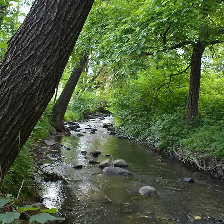 Bogancs Vendeghaz - Nagyboerzsoeny *
