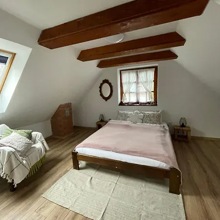 Bogancs Vendeghaz - Nagyboerzsoeny 펜션 *