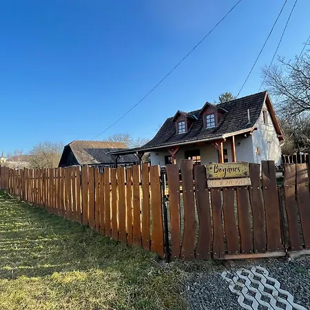Ferienhaus Bogancs Vendeghaz - Nagyboerzsoeny