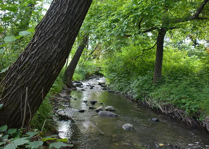 Bogancs Vendeghaz - Nagyboerzsoeny *